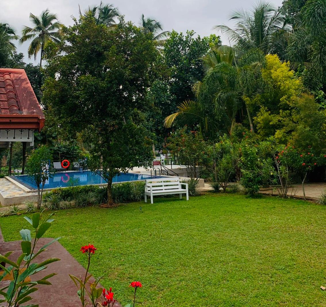 garden